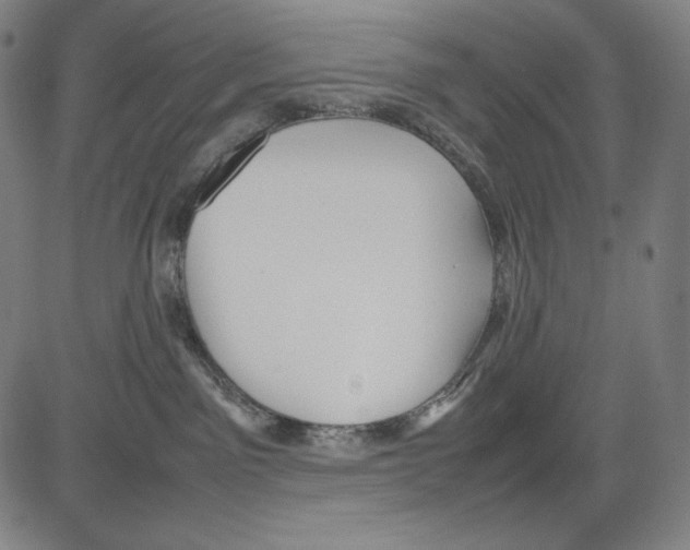 X0000081610141200702121624