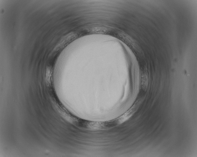 X0000081610142200702121624