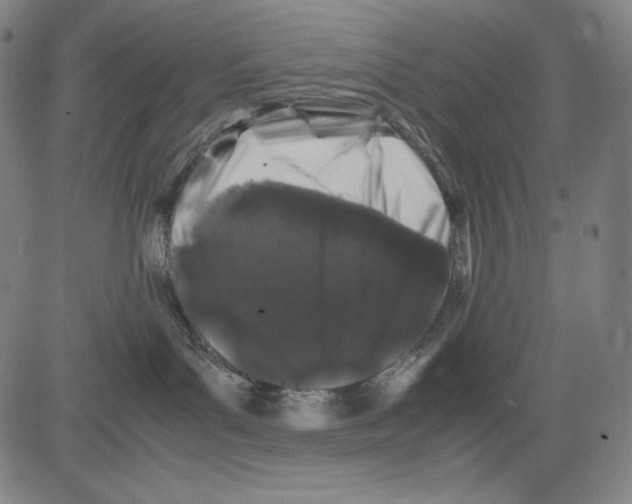 X0000081610143200702121624