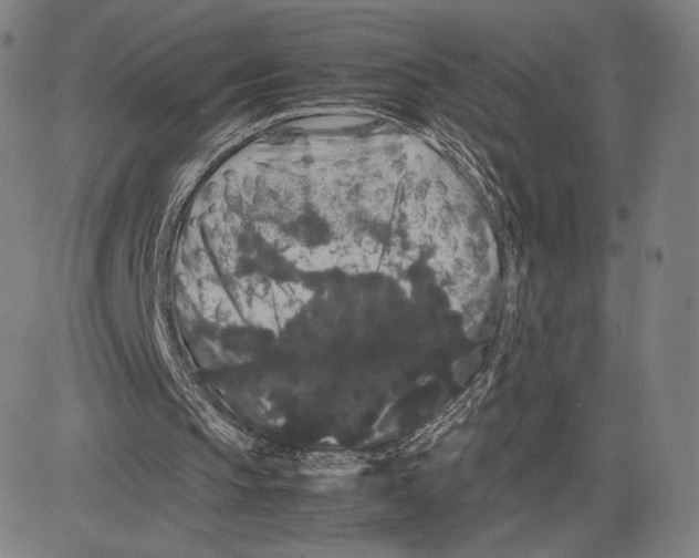 X0000081610145200702121623