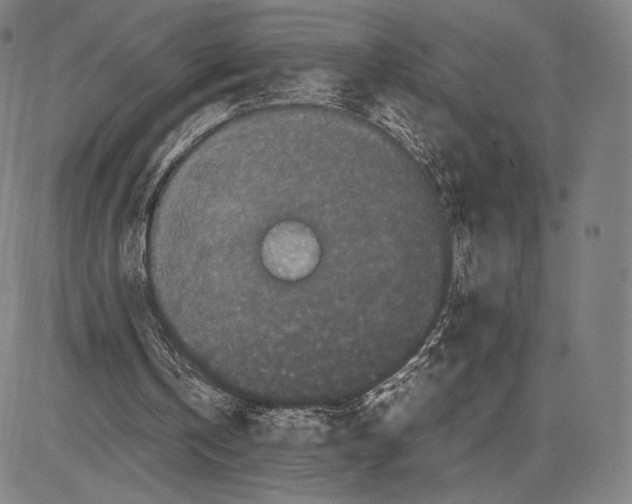 X0000081610146200702121623