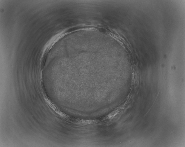 X0000081610149200702121623