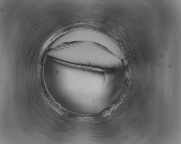 X0000081610150200702121623