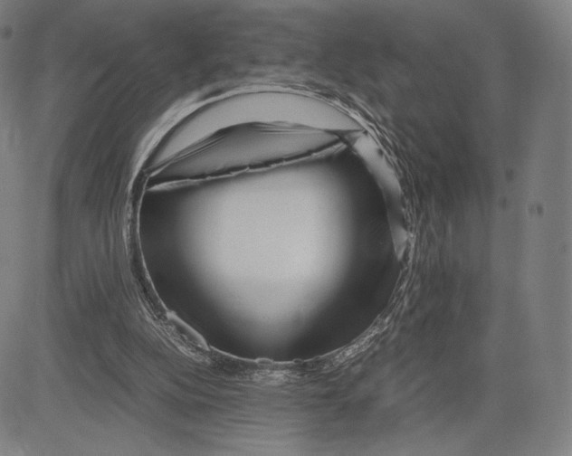 X0000081610152200702121623