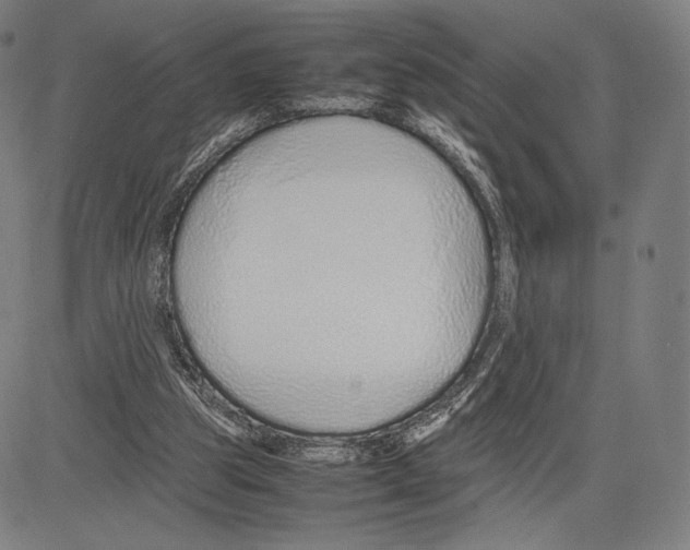 X0000081610153200702121623