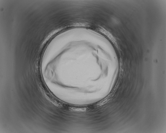 X0000081610155200702121623