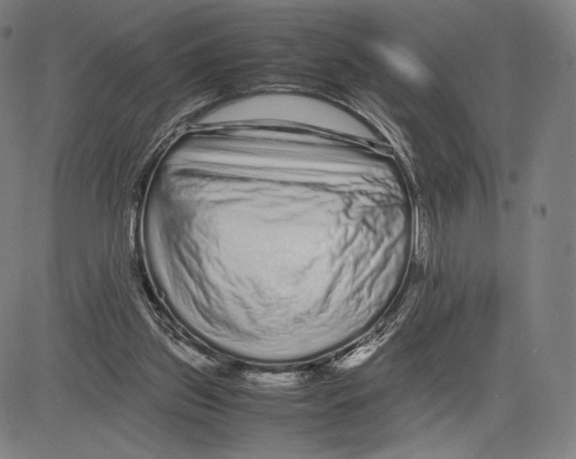 X0000081610157200702121623