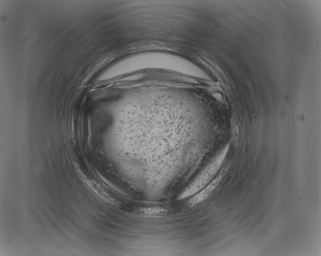 X0000081610158200702121623