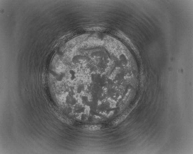 X0000081610161200702121623