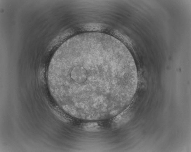 X0000081610162200702121623