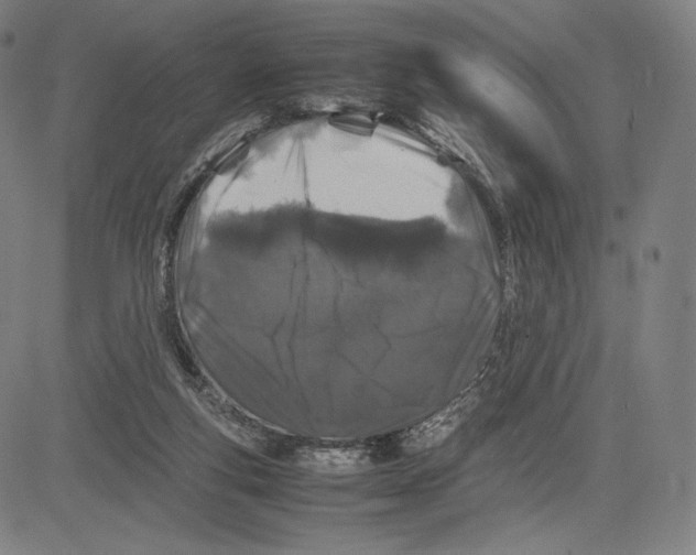 X0000081610163200702121623