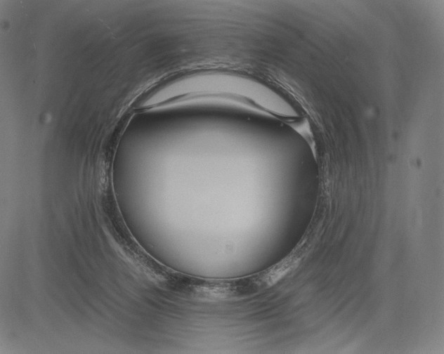 X0000081610164200702121623