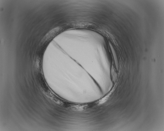 X0000081610166200702121623