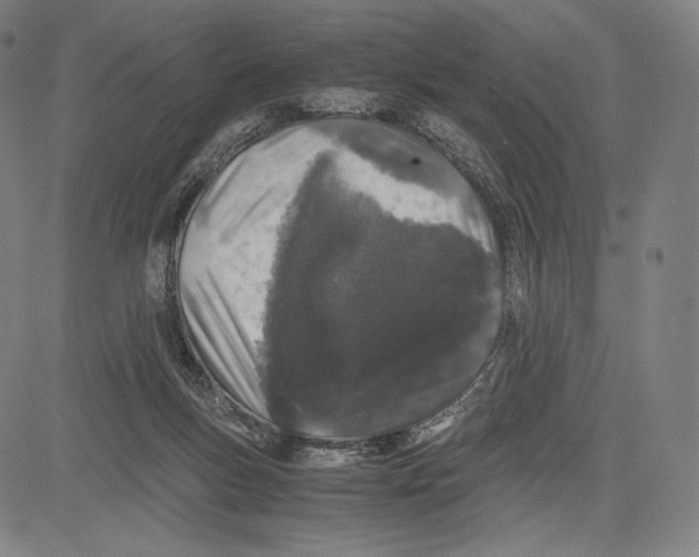 X0000081610167200702121623