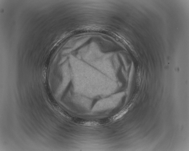 X0000081610168200702121623