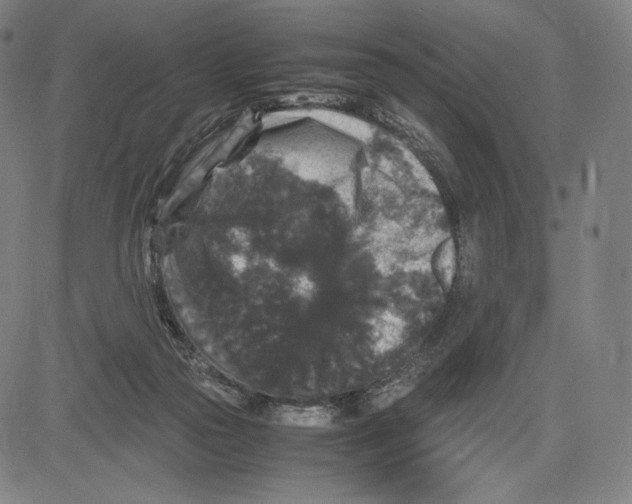 X0000081610169200702121623