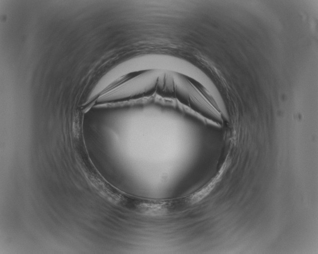 X0000081610170200702121623