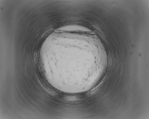 X0000081610171200702121623