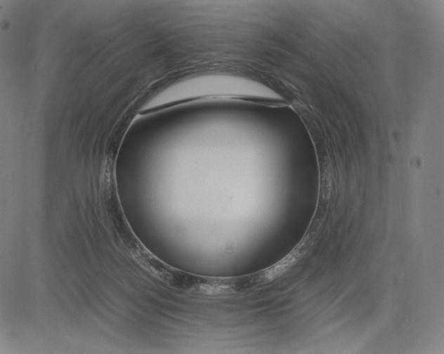 X0000081610172200702121624