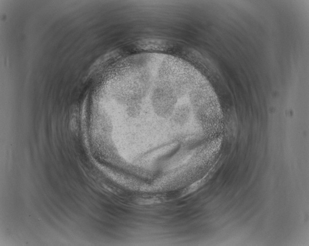 X0000081610175200702121624