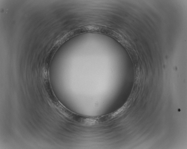 X0000081610176200702121624