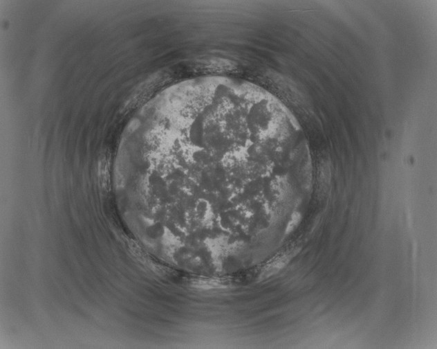 X0000081610177200702121624