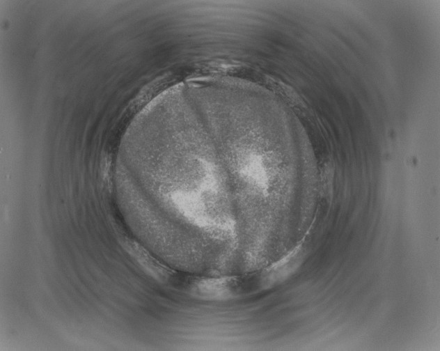 X0000081610178200702121624