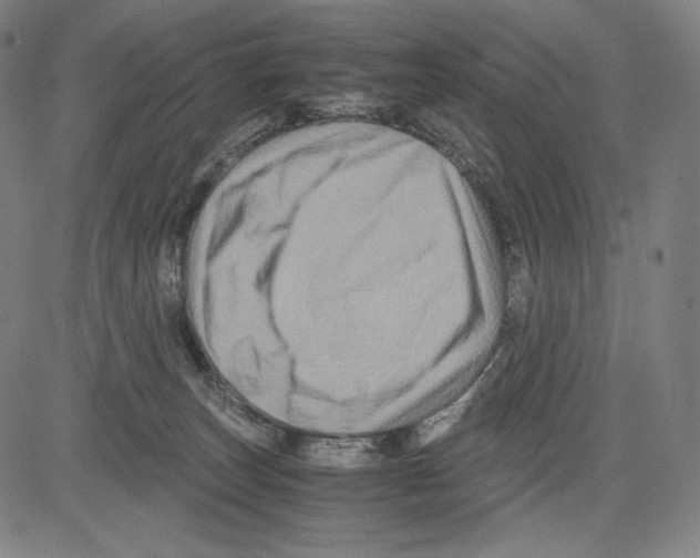 X0000081610179200702121624