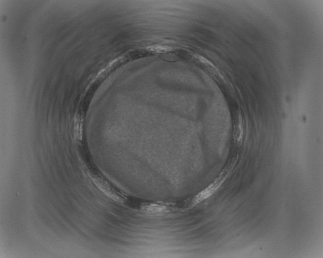 X0000081610180200702121624