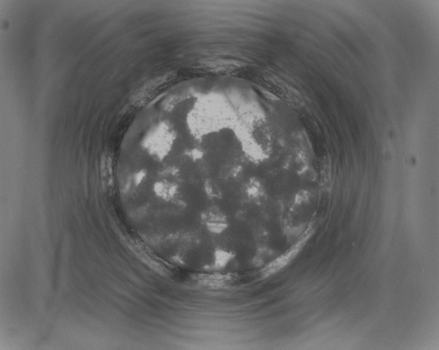 X0000081610182200702121624