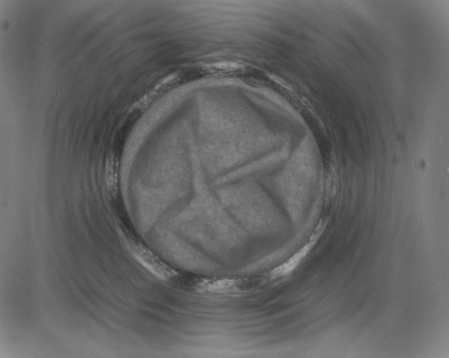 X0000081610186200702121624