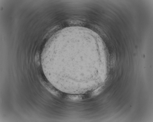 X0000081610187200702121624