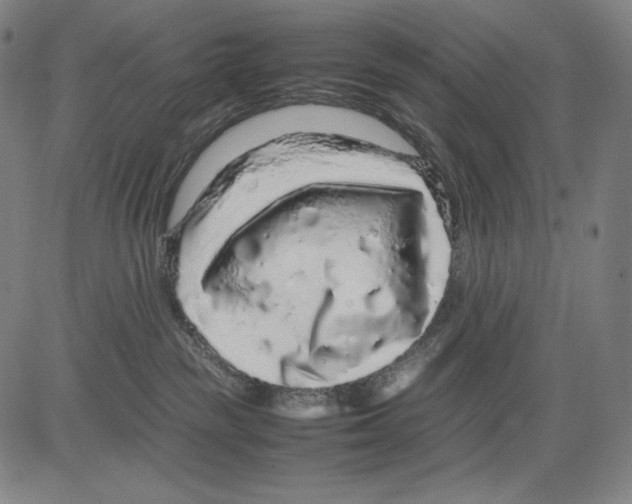 X0000081610189200702121624