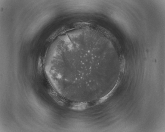 X0000081610191200702121624