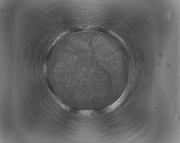 X0000081610192200702121624