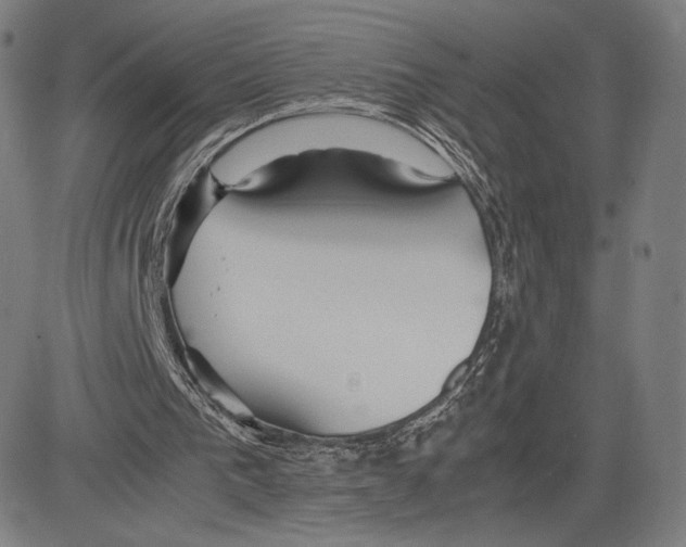 X0000081610193200702121623