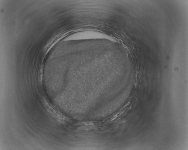 X0000081610194200702121623