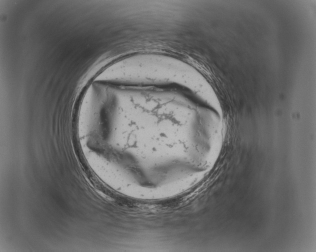 X0000081610195200702121623