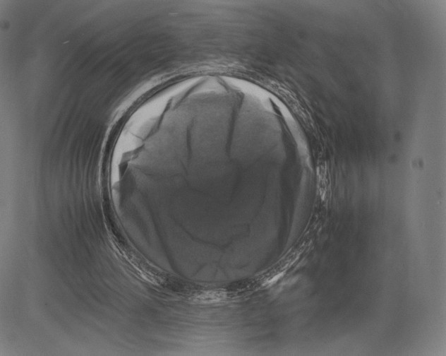 X0000081610196200702121623