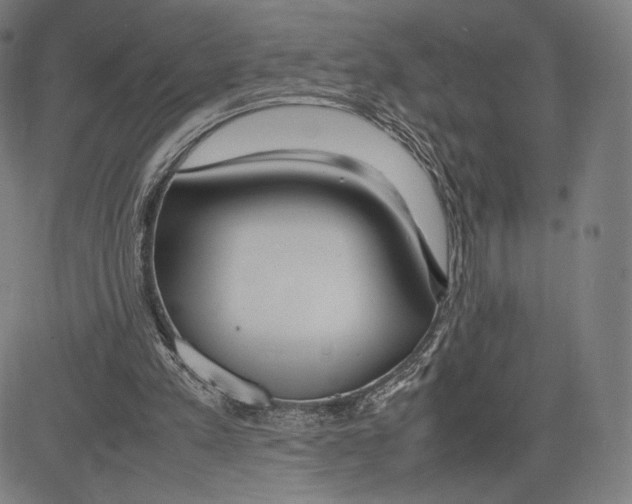 X0000081610197200702121623