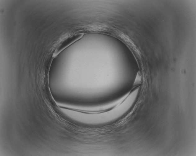 X0000081610201200702121623