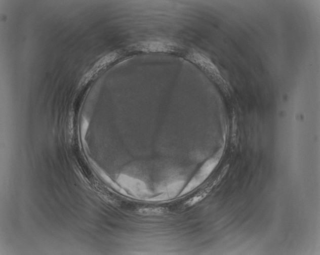 X0000081610202200702121623