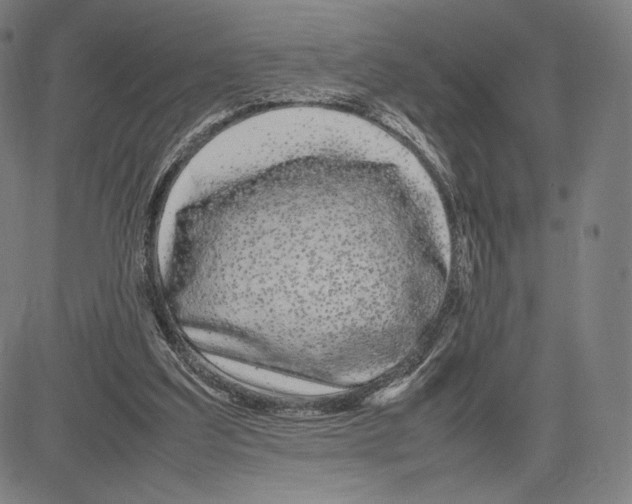 X0000081610203200702121623