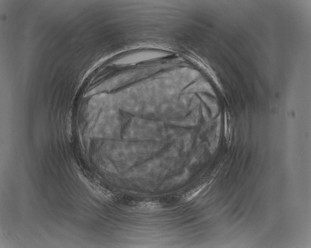 X0000081610204200702121623