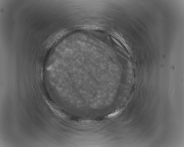 X0000081610205200702121623