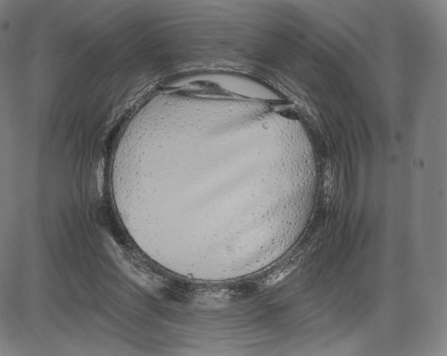 X0000081610206200702121623