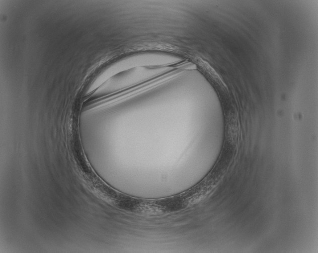 X0000081610207200702121623