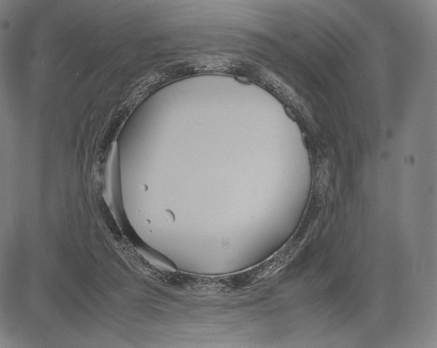 X0000081610209200702121623