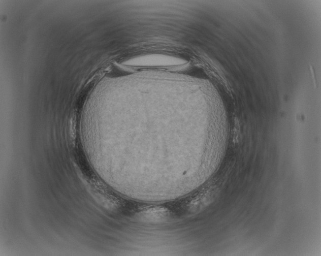 X0000081610210200702121623