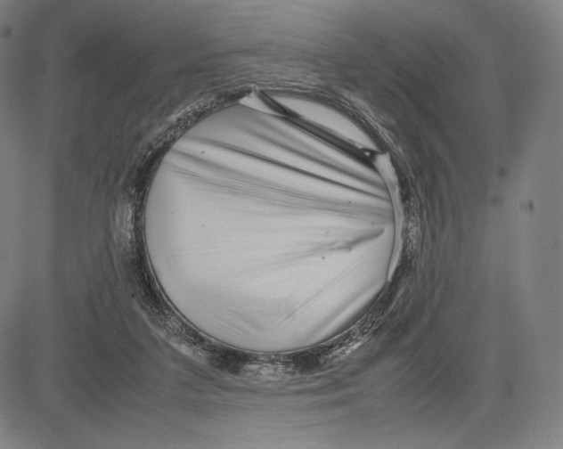 X0000081610211200702121623